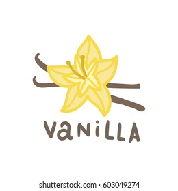 Vanilla Superfood. Vector Hand Drawn Illustration