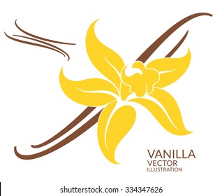 Vanilla. Vector Illustration