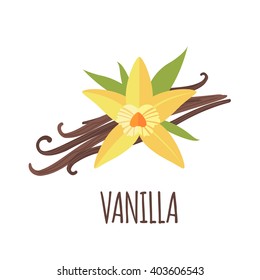 Vanilla Vector Logo  In Flat Style. Vanilla Icon. Isolated Object. Vector Illustration. 