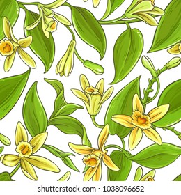 vanilla vector pattern