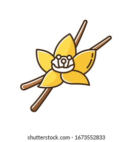 Vanilla yellow RGB color icon. Aromatic flower and pods of vanilla orchid. Aroma and flavor compound for foods and beverages. Cosmetic plant. Sweet baking ingredient. Isolated vector illustration