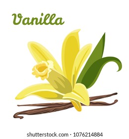 	
Vanillas  spicy herbs vector illustration in flat style isolated on white background. Vanilla plant flower aroma illustration. Template for icon, sticker, label or banner.