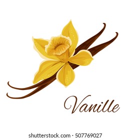 Vanille. Vector icon of vanilla pod with flower. Icon of flavor spice herb. Emblem of aromatic fruit plant for culinary condiment, cooking ingredient, package sticker, label design element