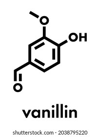 Vanillin Vanilla Extract Molecule Skeletal Formula Stock Vector ...