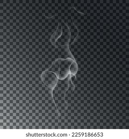 Vapor waves isolated on transparent background. Vector illustration. White realistic cloudy steam from hookah, cigarette, hot drink or food
