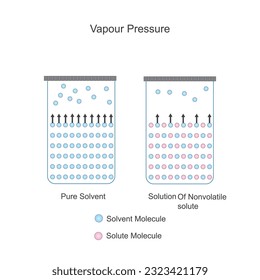 vapour pressure of pure solvent and solution of non volatile solute. vapour pressure. chemical illustration.