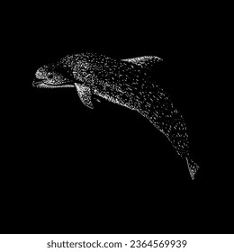 vaquita hand drawing vector isolated on black background.