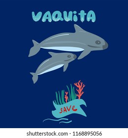 vaquita marina blue whale sealife  vector illustration