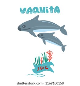 vaquita marina blue whale sealife  vector illustration