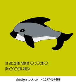 vaquita marina blue whale sealife  vector illustration