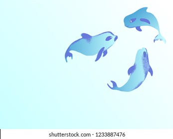 vaquita marina blue whale sealife  vector illustration