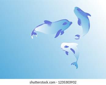 vaquita marina blue whale sealife  vector illustration