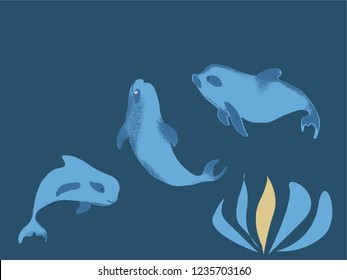 vaquita marina blue whale sealife  vector illustration