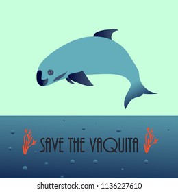 vaquita marina vector illustration