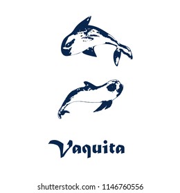 vaquita marina vector illustration