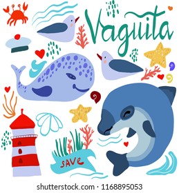 vaquita marina vector illustration