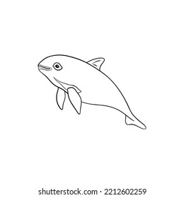 Vaquita marine outline illustration. Marine vector animal.