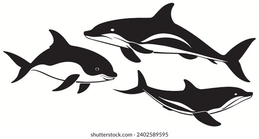 Vaquita outlines and symbols. Dark level variety basic exquisite white foundation Vaquita animal vector and silhouette icon.