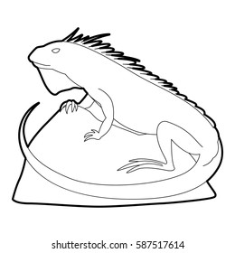 Varan icon. Outline illustration of varan vector icon for web