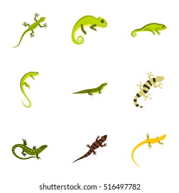 Varan icons set. Flat illustration of 9 varan vector icons for web