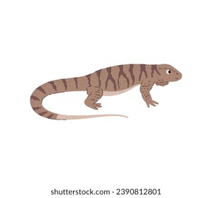 Varan or Komodo dragon, desert lizard, vector illustration isolated on white background. African animal reptiles, Varanus salvator. Colorful clipart, drawn in simple flat cartoon style.