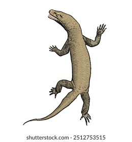 Varanus komodoensus, desenho de ilustração vetorial animal isolado de Komodo 