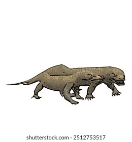 Varanus komodoensus, animal vector ilustration design isolated of Komodo 