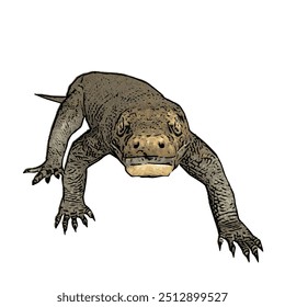 Varanus komodoensus, the ilustration vector isolated design of Animal wildlife KOMODO 