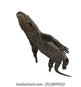 Varanus komodoensus, the ilustration vector isolated design of Animal wildlife KOMODO 