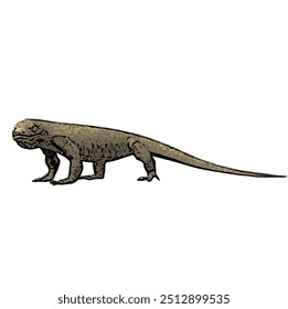 Varanus komodoensus, the ilustration vector isolated design of Animal wildlife KOMODO 