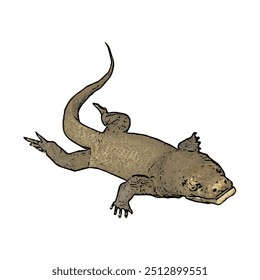 Varanus komodoensus, the ilustration vector isolated design of Animal wildlife KOMODO 