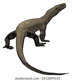 Varanus komodoensus, the ilustration vector isolated design of Animal wildlife KOMODO 