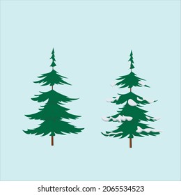 Variant of realistic vector illustration of a green Christmas tree with and without snow isolated on a white background. Flat vector illustration.