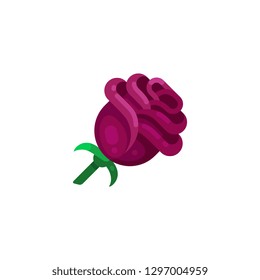 Variant Romantic Rose