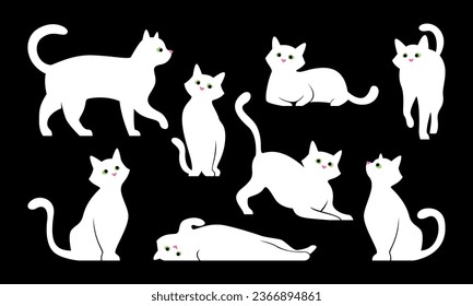 Variants of cat poses. Vector set of white cat with green eyes, illustration isolated on black