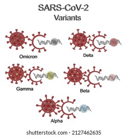 The Variants Concern Of SARS-CoV-2 : Omicron, Delta, Gamma, Beta, Alpha That Mutation At MRNA Sequence Of Viral Genome