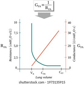 Variation Of The Airway Resistance And Conductance With Lung Volume