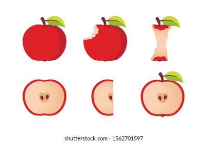 Variation of delicious red apple. Half apple, bitten apple, apple stump icons.Flat style vector illustration isolated on white background.