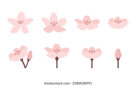 Variation set of simple cherry blossom illustrations