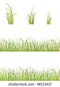 variation of vector grass