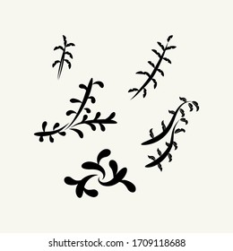 Variations of Floral Silhouette Ornament Designs