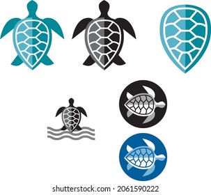 Variations on turtle and shell (vector)