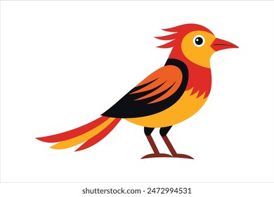 Variations of weaver bird vector art, showcasing diverse styles and illustrations.
