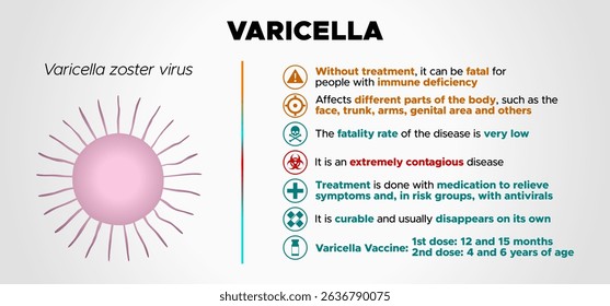 Varicella: vector illustration of information on chickenpox disease with white background