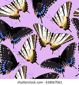 Varicolored butterflies seamless
