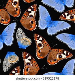 Varicolored butterflies seamless