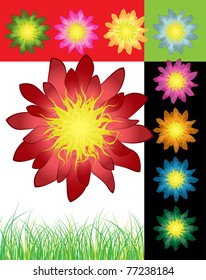 Varicolored set of detailed flowers, vector illustration