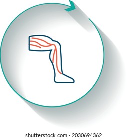 Varicose Veins Treatment Icon Vector Design