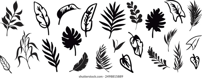Varied set of simple leaves in black - Nature - Botanicals