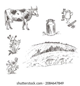 The variegated cow. Milk's farm. Rural landscape. Vector illustration. Eco-friendly production, agriculture, animal husbandry.